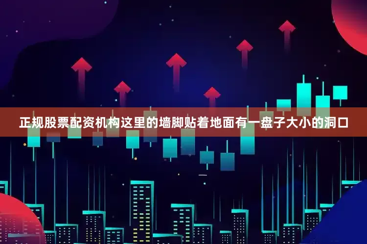 正规股票配资机构这里的墙脚贴着地面有一盘子大小的洞口